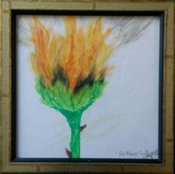 Fire Flower Oils & Graphite Art by Lucy Jane